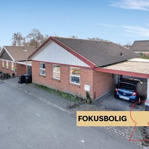 Opslagsbillede