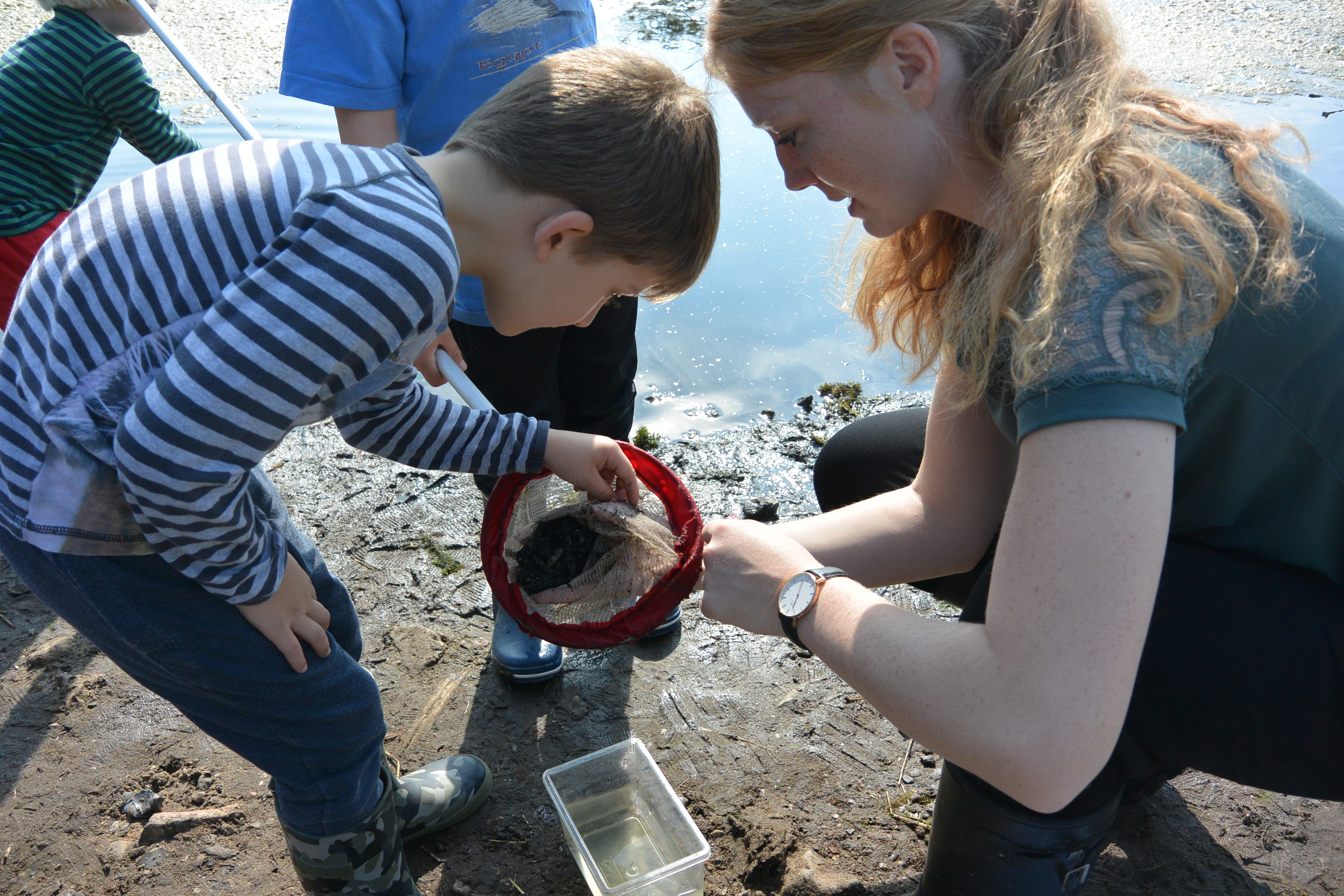 Sommeraktiviteter på Randers Naturcenter