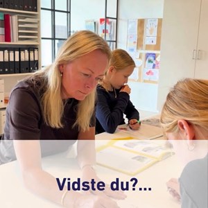 Opslagsbillede