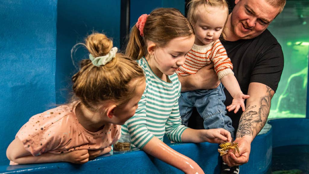 Fodring af fisk i Fiskeriets Hus: En spændende oplevelse for børn