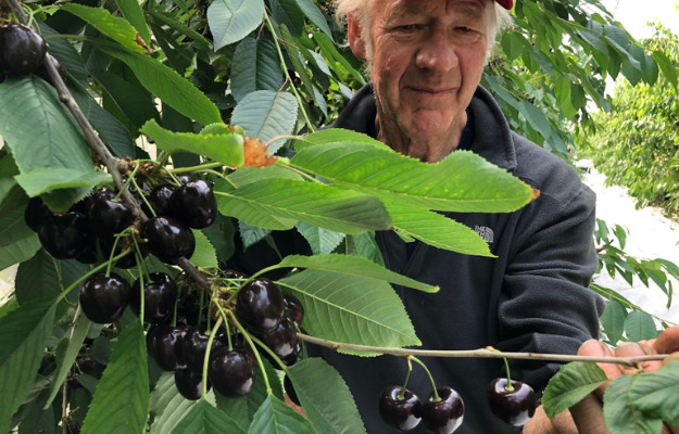 Toplisten: lokale opdateringer på sociale medier