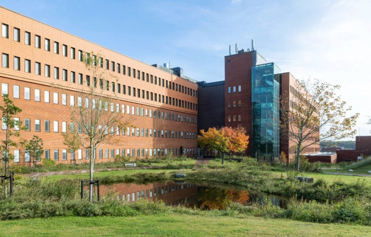 Skive Sundhedshus og lokale patientforeninger inviterer alle borgere til at bevæge sig sammen for sundheden