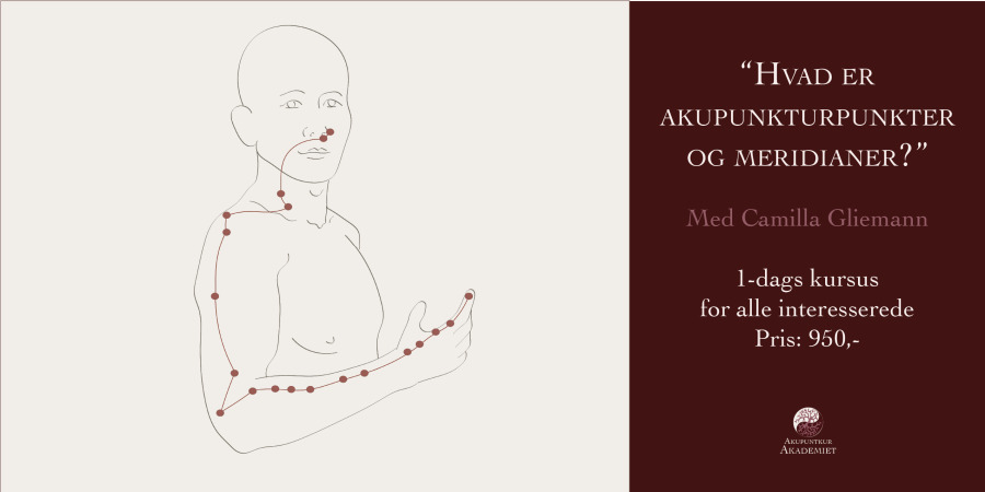 Forstå meridianernes verden på AkupunkturAkademiet