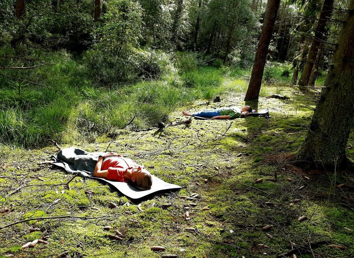 En finger på pulsen i Hammel