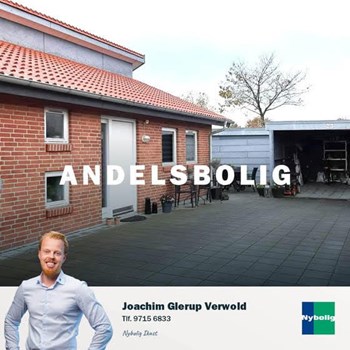 Opslagsbillede