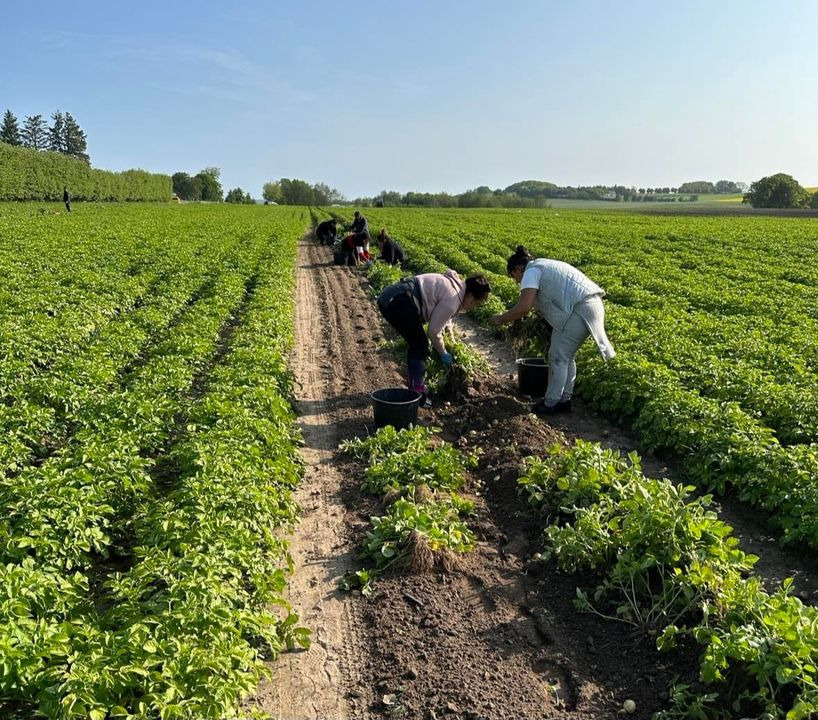 Nyt på opslagstavlen i Sæby