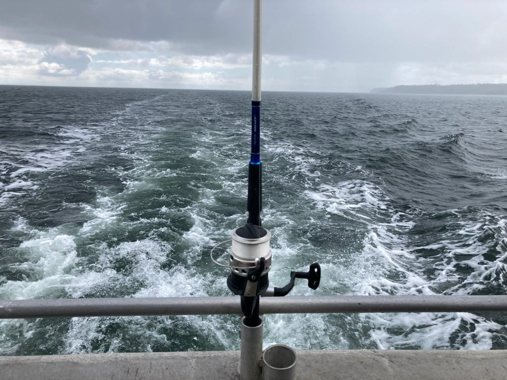 Oplev naturen i Augustenborg: Strandsafari og fisketur