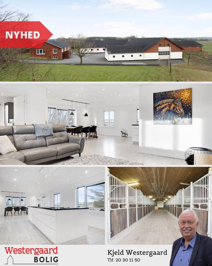 Opslagstavlen: Nyeste opdateringer fra Brønderslev