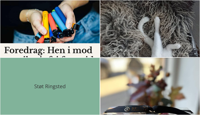 Nyt fra Vet til dig, Bruuns Chokolade og Nikotinfri.nu