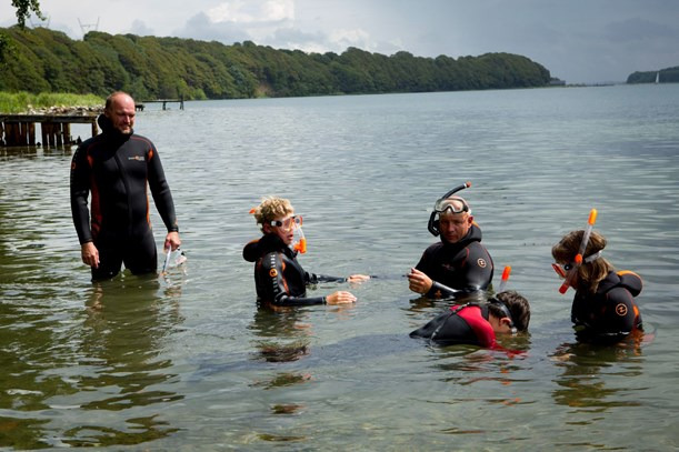 Genbrugssten skal redde fiskeliv i fjorden