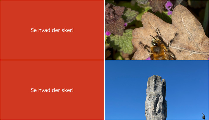 Denne weekend i Hedehusene: Oplev naturen og fællesskabet