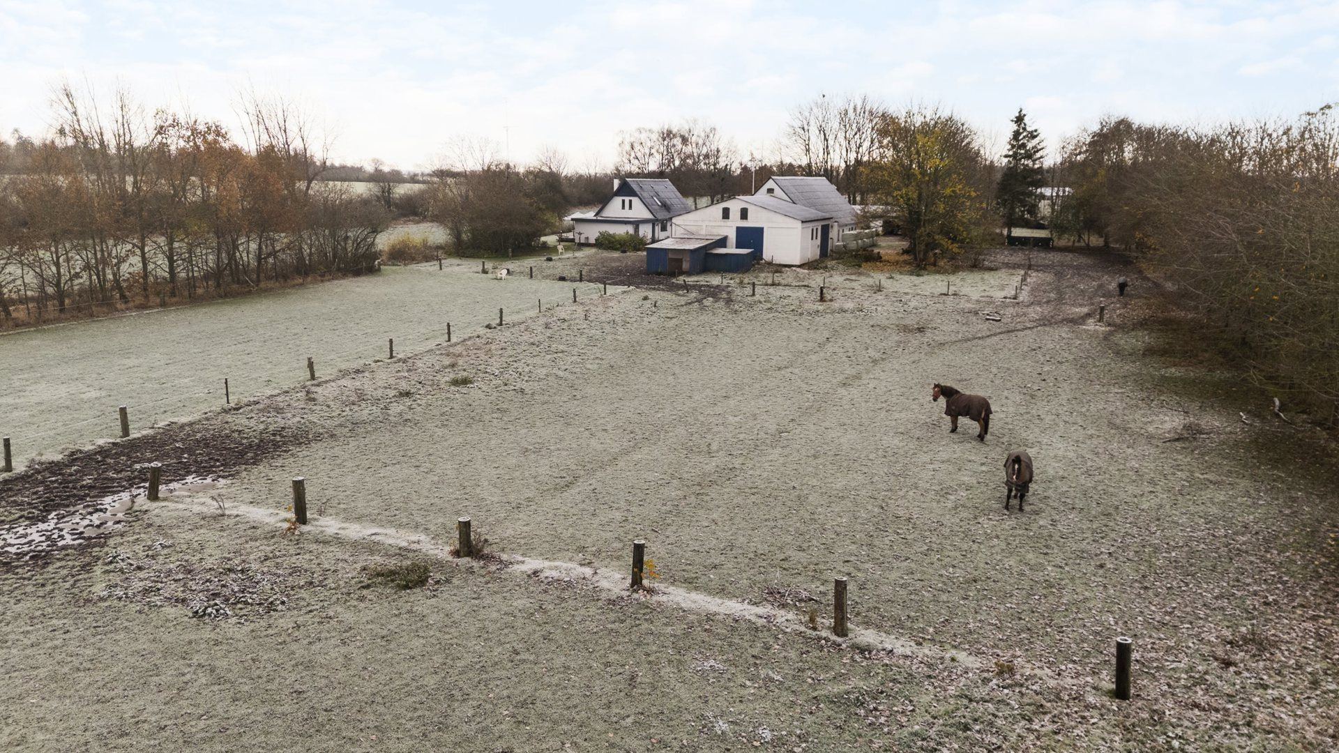 Eksklusiv bolig for 1.750.000 kr er netop kommet til salg i Marslev - Se den og de dyreste boliger her