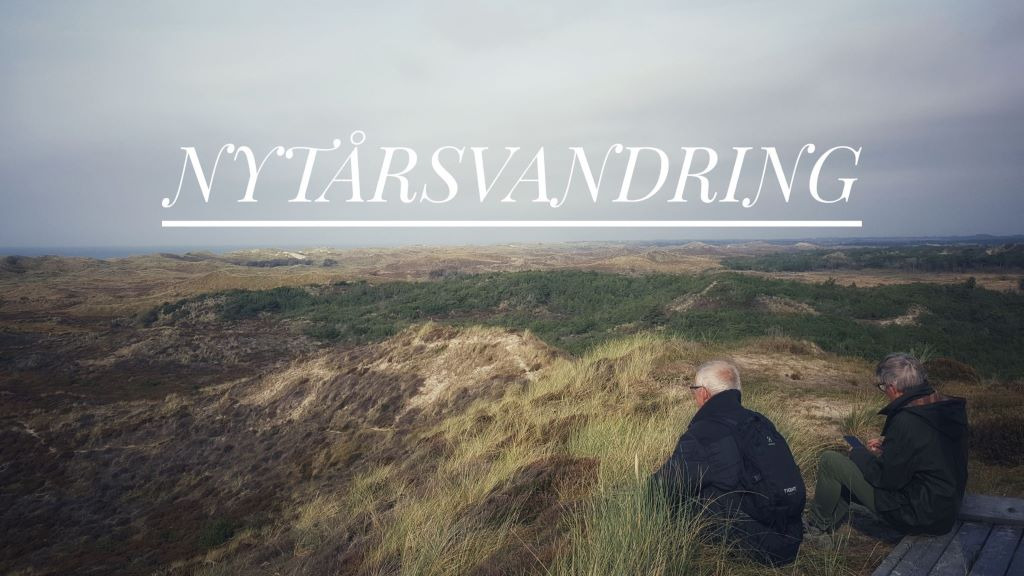 Nytårsvandring i Kærgård Klitplantage