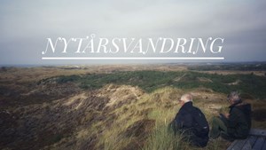 Nytårsvandring i Kærgård Klitplantage