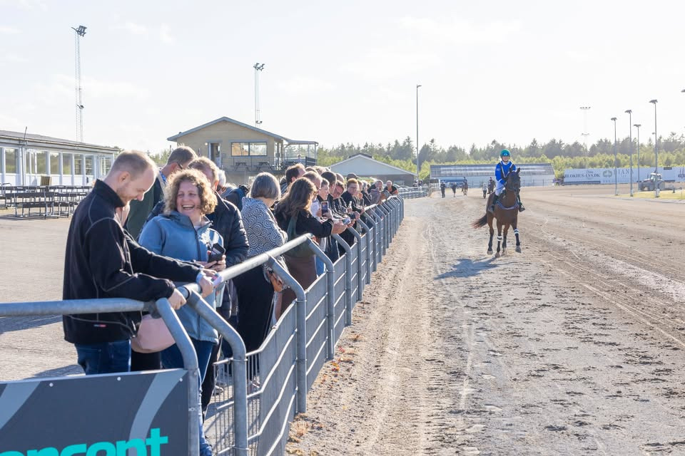 Sommertrav med DM for Jockeyer på BioCirc Trav Arena