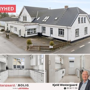 Opslagsbillede