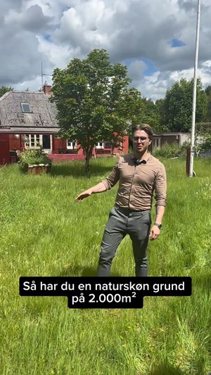 opslagsbillede
