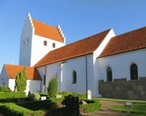 Historisk udflugt til Viborg domkirke
