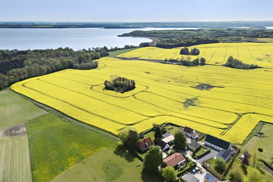 Tjebberupvej 93 og 9 andre boliger er kommet til salg denne uge i Holbæk - se boligerne her.