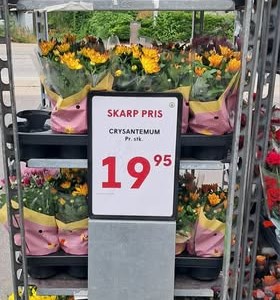 opslagsbillede