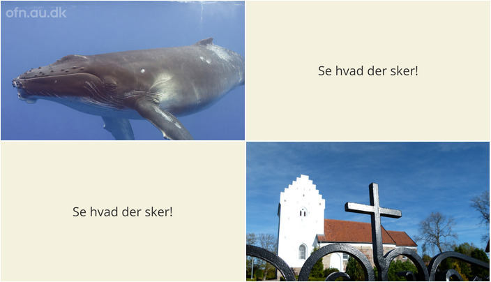 Hvalforedrag og musikalsk aften i Gistrup: Oplev hvad der sker i næste uge