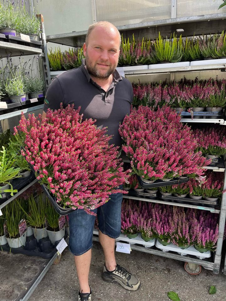 En finger på pulsen i Horsens