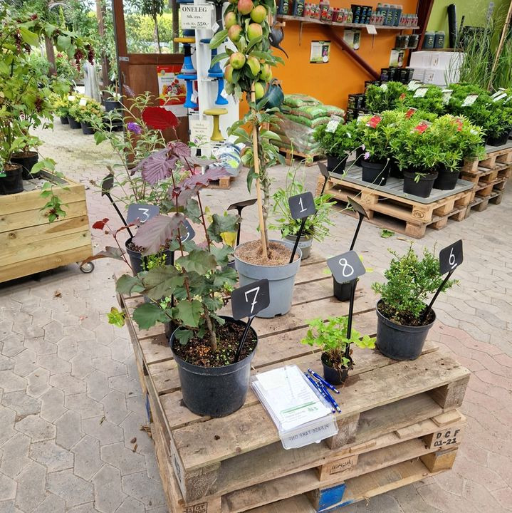 Opdatér dig her: Det nyeste fra Hobro