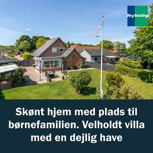 opslagsbillede