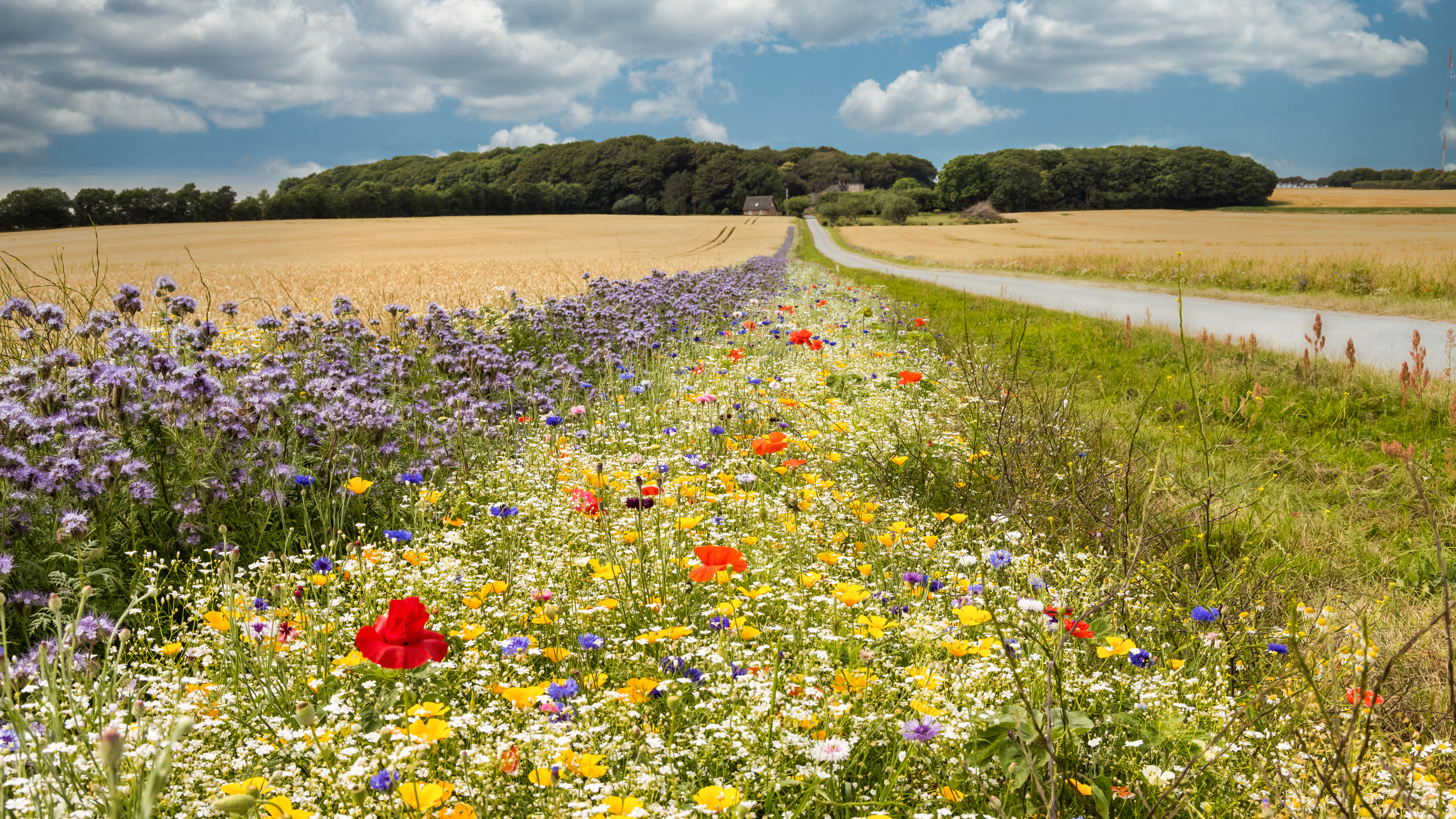 Landdistriktskonference 2025: Hvad skal arealerne i landdistrikterne bruges til?