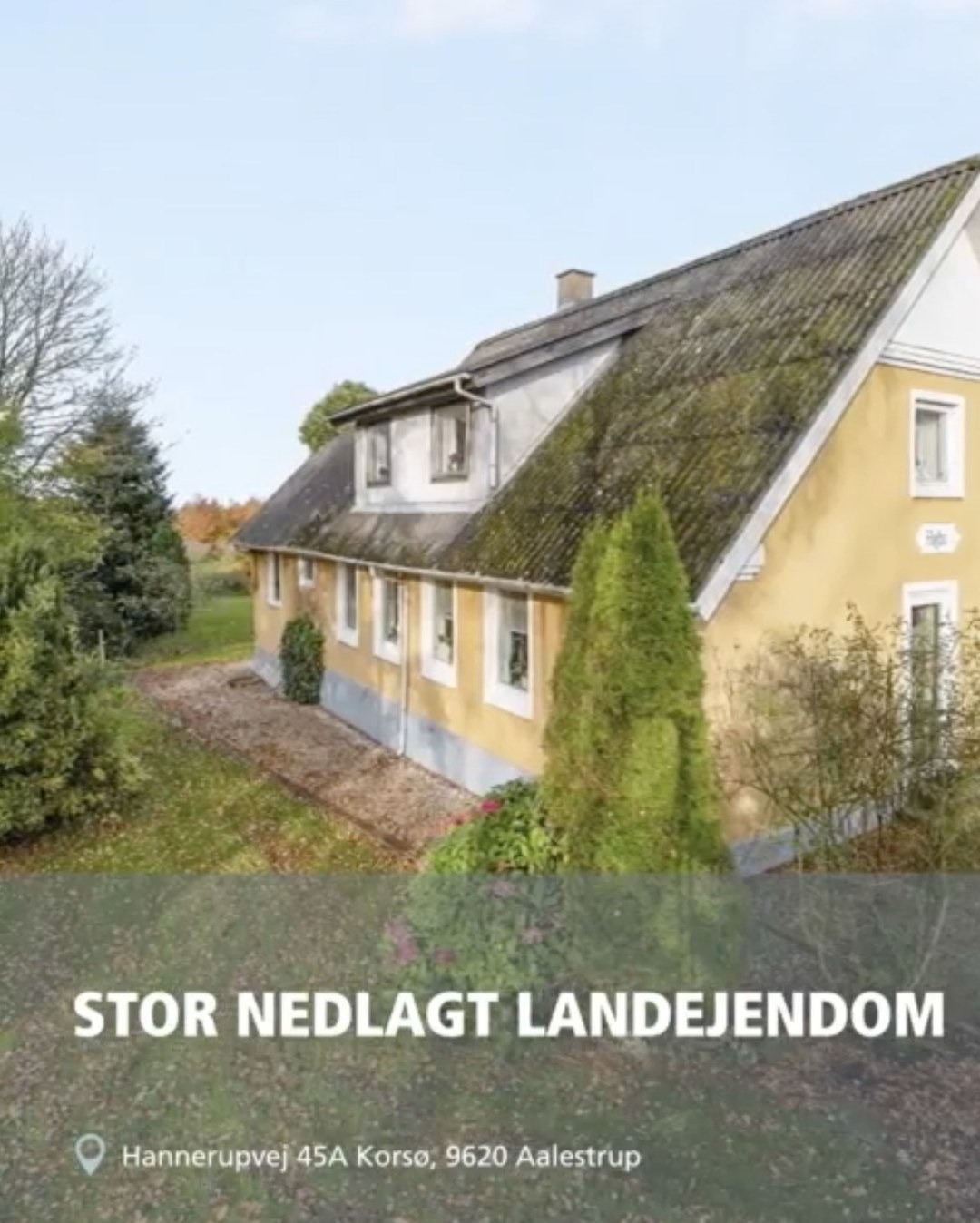 Det nyeste på Møldrups opslagstavle