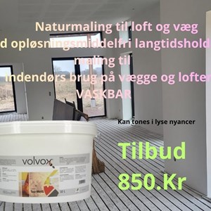 Opslagsbillede