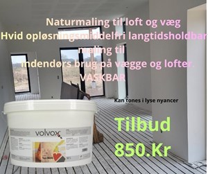 opslagsbillede