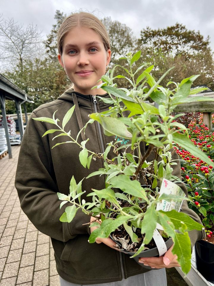 Se dagens updates fra Sæby her