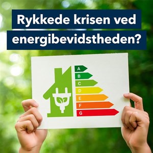 opslagsbillede
