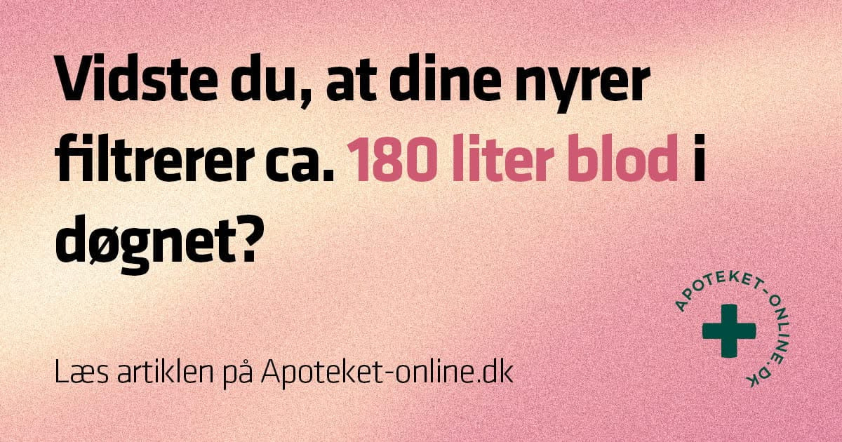 Ikast Apotek sætter fokus på nyrernes filtersystem