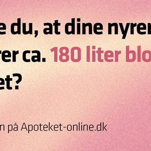 Opslagsbillede