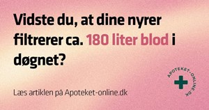 opslagsbillede