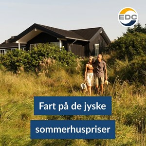 opslagsbillede