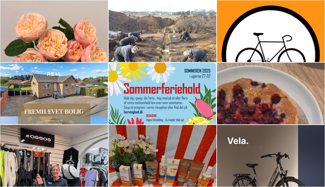 Nyt fra Vestergades Blomster ApS, RealMæglerne Herning, Dyrehospitalet Heden ApS og 6 andre