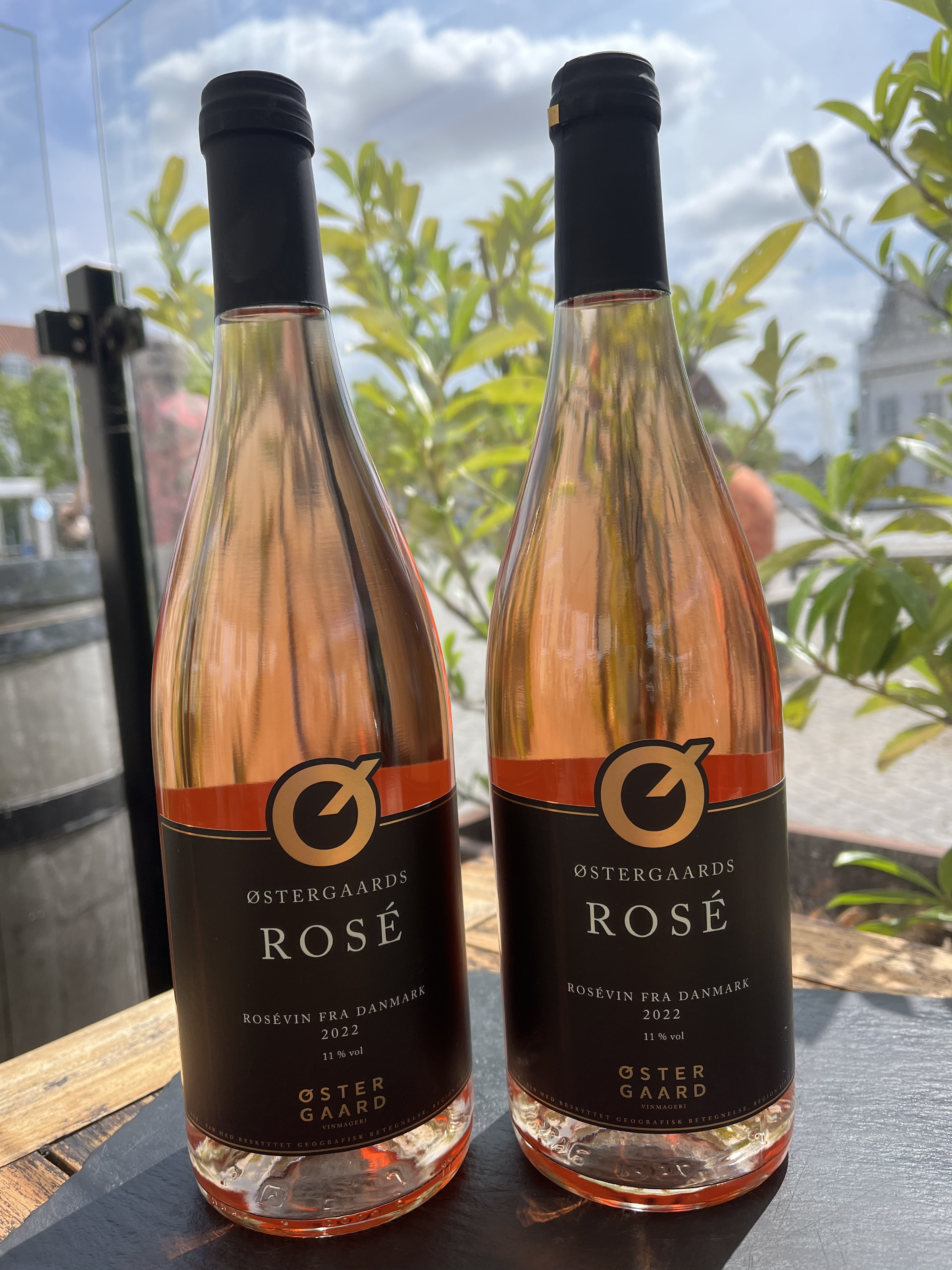 Rosé og pasta aften på Café Vin&brød