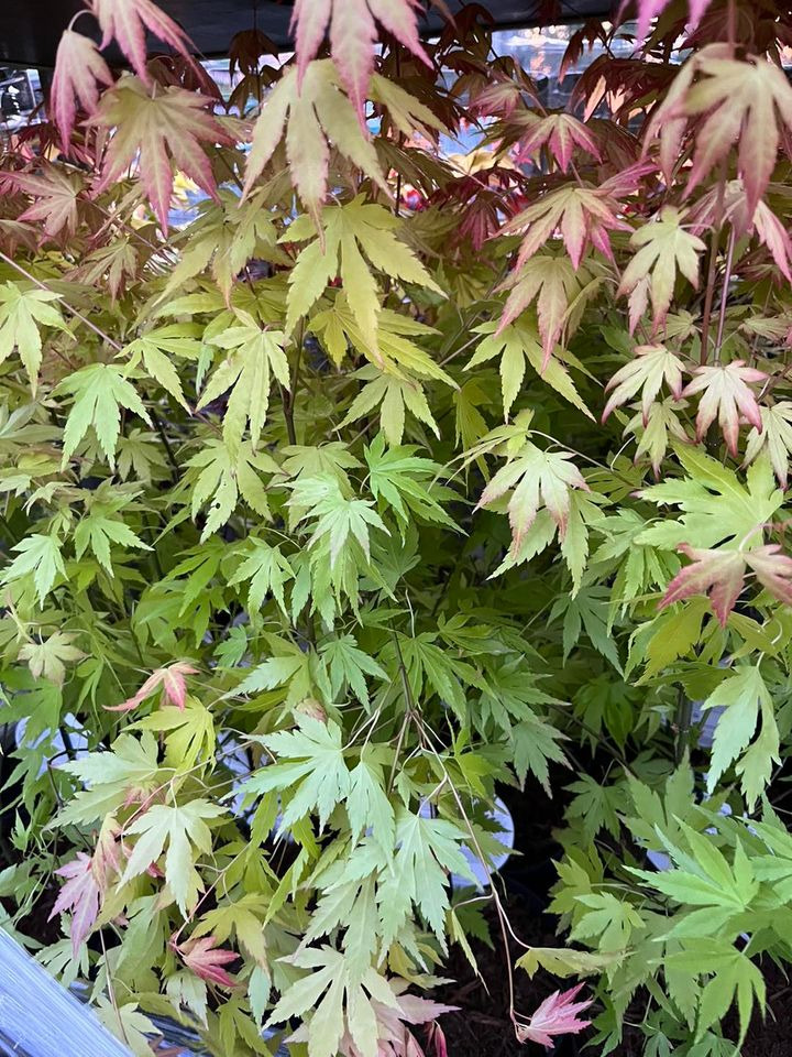 Hold dig ajour med dagens opdateringer fra Horsens