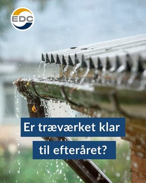 opslagsbillede