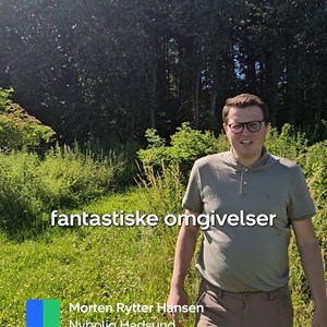Opslagsbillede