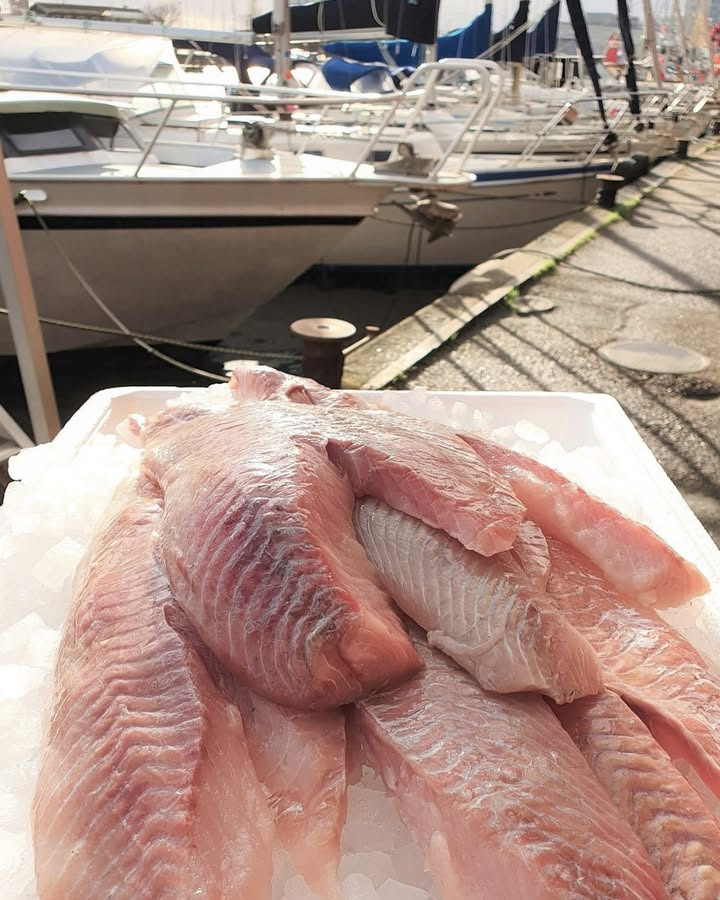 Beringsslagteren ApS tilbyder tirsdagstilbud på danske mørksejfileter