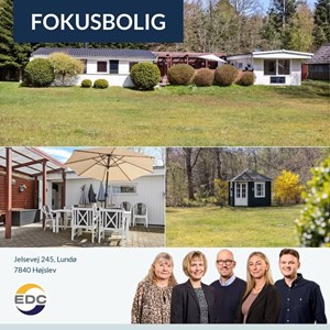 Opslagsbillede