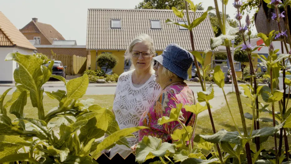 Klimalandsbyer i Skive forvandler millioner til grønne projekter og inspirerer hele landet