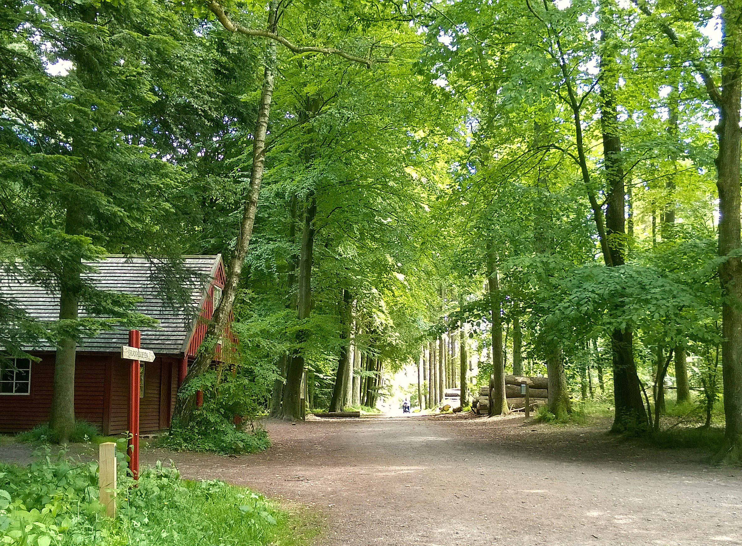 Trafik p&#xE5; Granall&#xE9;en i Vejle omdirigeres for at beskytte fodg&#xE6;ngere og cyklister