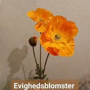 Opslagsbillede