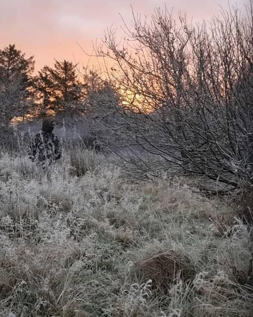 THY OUTDOOR: Gør dig klar til sneen med den rigtige camouflage