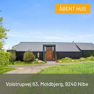 Opslagsbillede